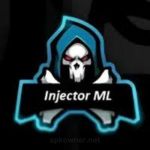 TITO Injector is the best ML Injector