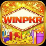 WinPKR is the best earning game in pakistan