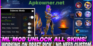 Mobile legend injector